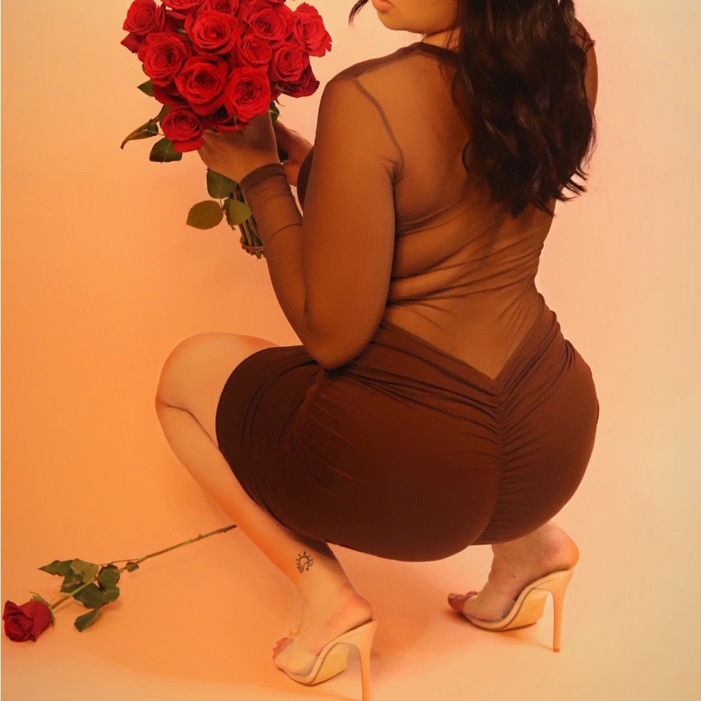 Brown Mesh Back Dress